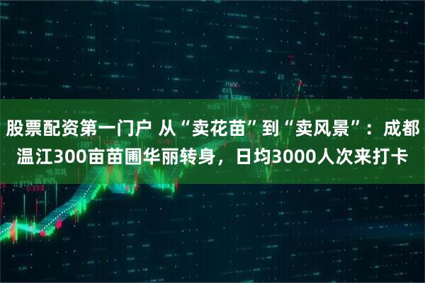 股票配资第一门户 从“卖花苗”到“卖风景”：成都温江300亩苗圃华丽转身，日均3000人次来打卡