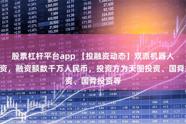 股票杠杆平台app 【投融资动态】双派机器人A轮融资，融资额数千万人民币，投资方为天图投资、国舜投资等
