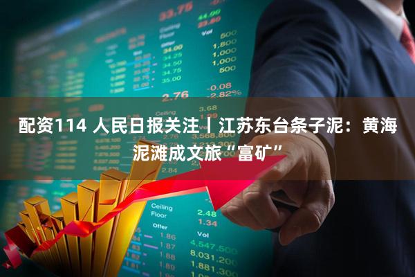 配资114 人民日报关注丨江苏东台条子泥：黄海泥滩成文旅“富矿”